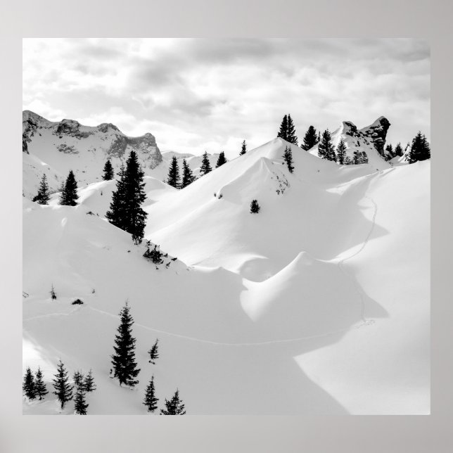Alpine Landscape: Snowy Fir Trees Mountains Poster (Front)