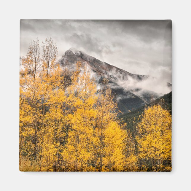 Alpine Loop | Silverton, Colorado Magnet (Front)