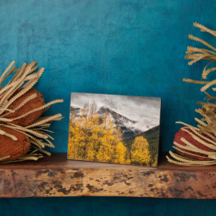 Alpine Loop   Silverton, Colorado Plaque