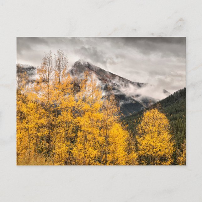 Alpine Loop | Silverton, Colorado Postcard (Front)