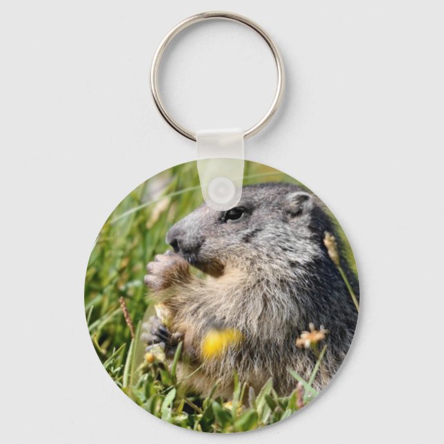 Alpine marmot eating flower key ring (Front)