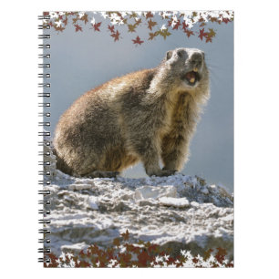Alpine marmot in leaves frame notebook