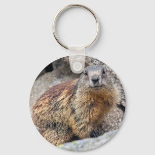 Alpine Marmot Keyring