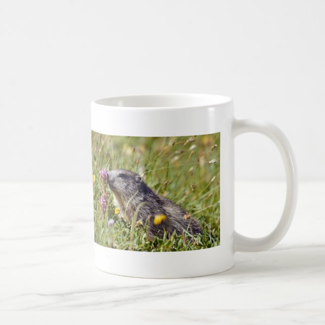 Alpine marmot near flower coffee mug (Right)