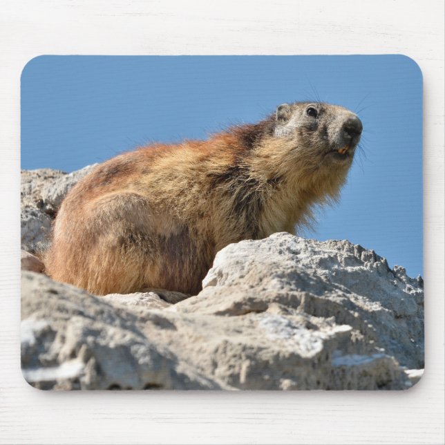 Alpine marmot on rock mouse pad (Front)