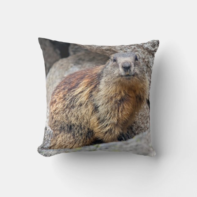 Alpine Marmot Pillow (Front)