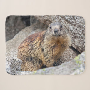 Alpine Marmot Sherpa Blanket