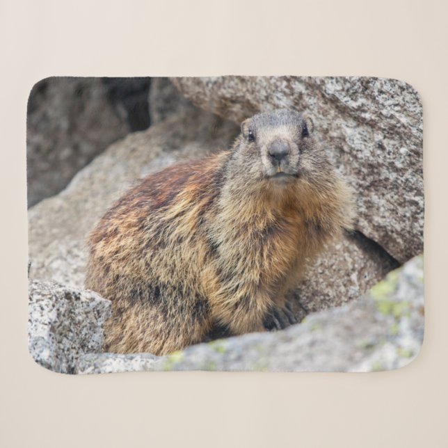 Alpine Marmot Sherpa Blanket (Front (Horizontal))