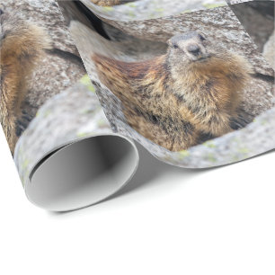 Alpine Marmot Wrapping Paper