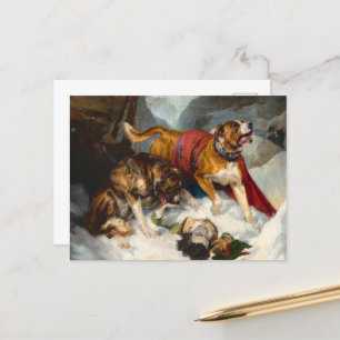 Alpine Mastiffs Reanimating a Distressed Traveller Postcard