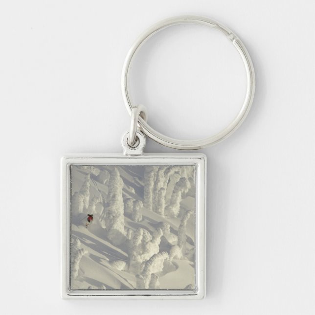 Alpine Skier in thick snowghosts at Big Key Ring (Front)