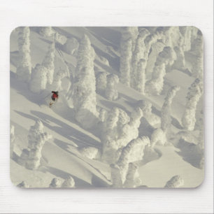 Alpine Skier in thick snowghosts at Big Mouse Pad