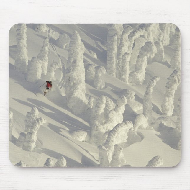 Alpine Skier in thick snowghosts at Big Mouse Pad (Front)