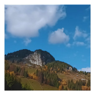 Alpine Summer - Wild Nature from Romania Poster