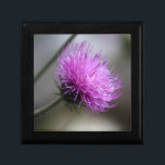 alpine thistle (Carduus defloratus) Gift Box<br><div class="desc">alpine thistle (Carduus defloratus)</div>
