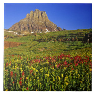Alpine wildflowers at Logan Pass in Glacier Ceramic Tile