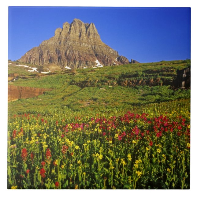 Alpine wildflowers at Logan Pass in Glacier Ceramic Tile (Front)