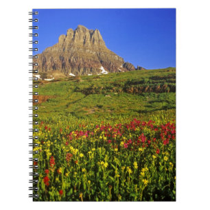Alpine wildflowers at Logan Pass in Glacier Notebook