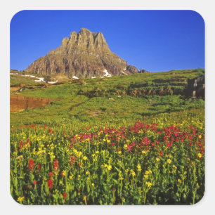 Alpine wildflowers at Logan Pass in Glacier Square Sticker