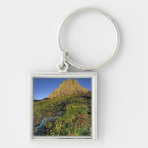 Alpine wildflowers & Mt Clements at Logan Pass Key Ring