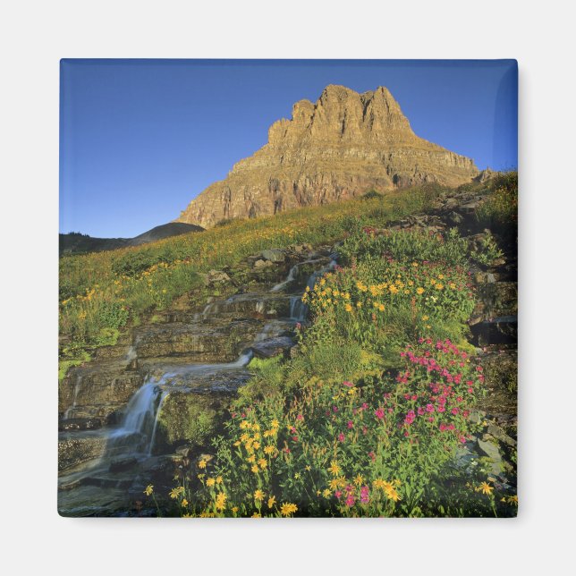 Alpine wildflowers & Mt Clements at Logan Pass Magnet (Front)