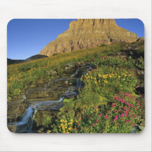 Alpine wildflowers & Mt Clements at Logan Pass Mouse Pad