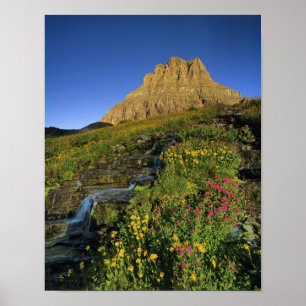 Alpine wildflowers & Mt Clements at Logan Pass Poster