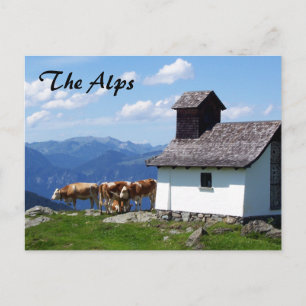 Alps Mountain Scene with Alpine Cows Postcard