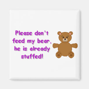 Already Stuffed Magnet