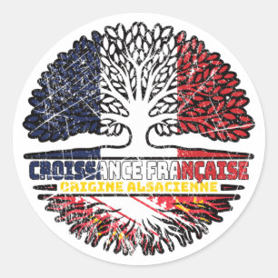 Alsace Alsatian French France Tree Roots Flag Classic Round Sticker