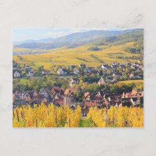 Alsace, France 6 Postcard