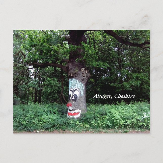 Alsager Tree with a Face Postcard (Front)