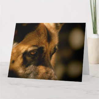 Alsatian Emotions Birthday Card