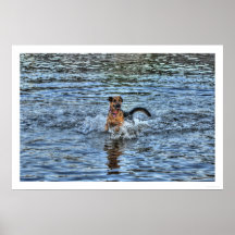 Alsatian German Shepherd 1 Dog-lover Poster