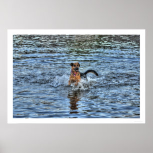 Alsatian German Shepherd 1 Dog-lover Poster