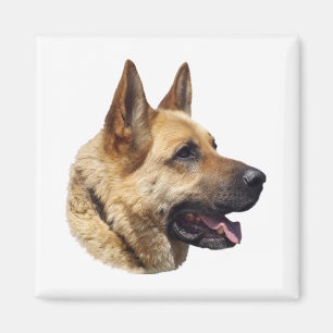 Alsatian German shepherd portrait Magnet