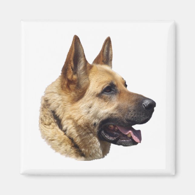 Alsatian German shepherd portrait Magnet (Front)