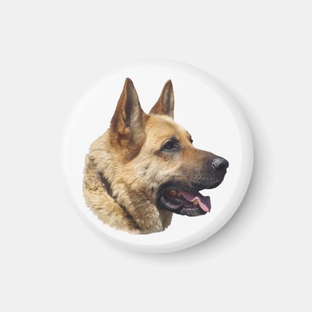 Alsatian German shepherd portrait Magnet (Front)