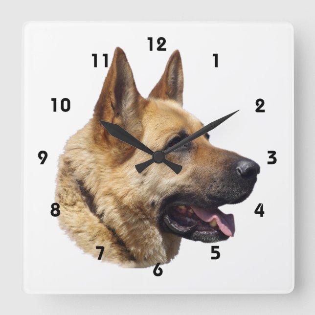 Alsatian German shepherd portrait Square Wall Clock (Front)