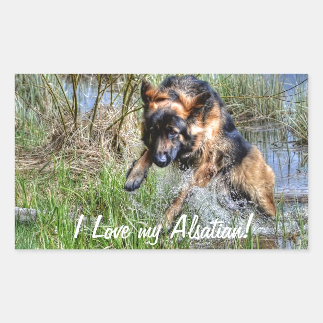 Alsatian Plush German Shepherd 5 Dog-lover Gift Rectangular Sticker (Front)