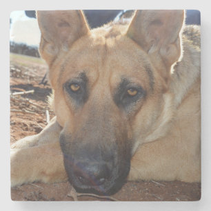 Alsatian Sleepy Entitlement,  Stone Coaster
