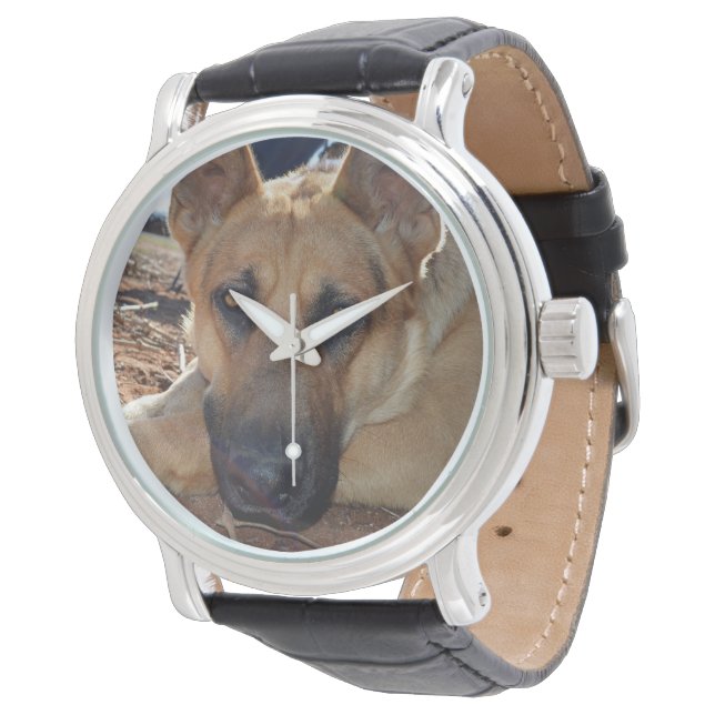 Alsatian Sleepy Entitlement,  Watch (Angled)
