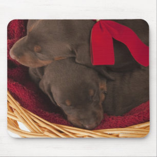 Also Doberman Pincher. Medium-sized domestic dog Mouse Pad