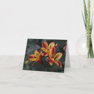 Alstroemeria Flowers Card
