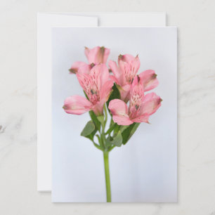Alstroemeria Flowers Invitation