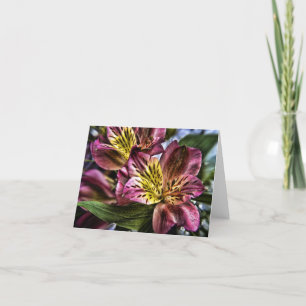 Alstroemeria Peruvian Lily flower note card