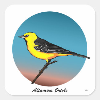 Altamira Oriole rev.2.0 Buttons & Stickers