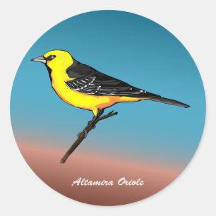 Altamira Oriole rev.2.0 Buttons & Stickers