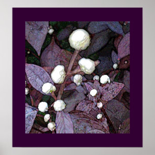 Alteranatha universe poster