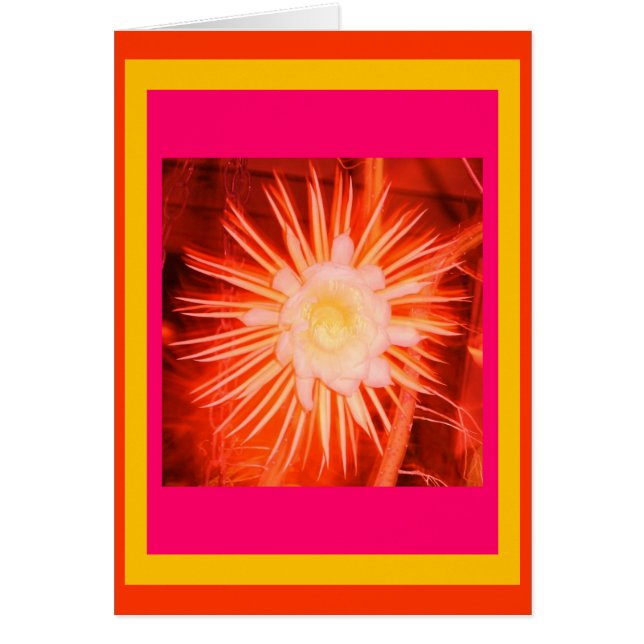 Altered Peach Cactus Flower (Front)